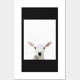 Lamb print, Nursery, Animal, Kids room, Modern art, Wall decor Posters and Art